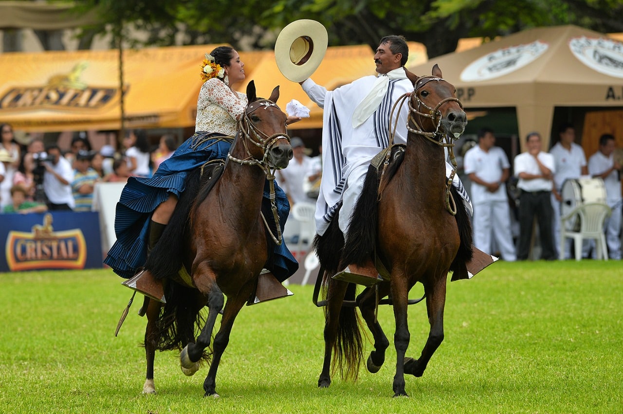 Concurso Nacional de Caballos