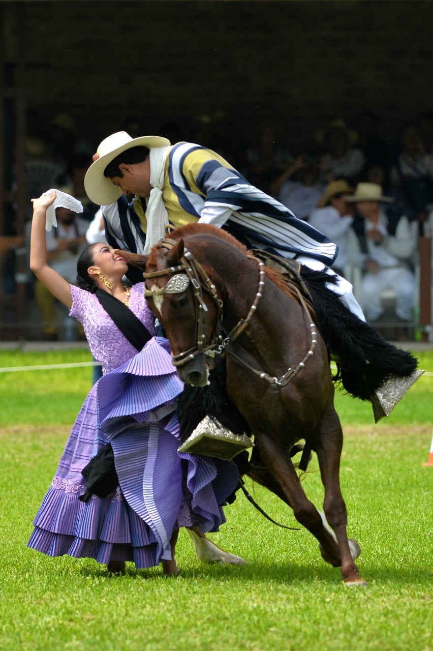 Concurso Nacional de Caballos
