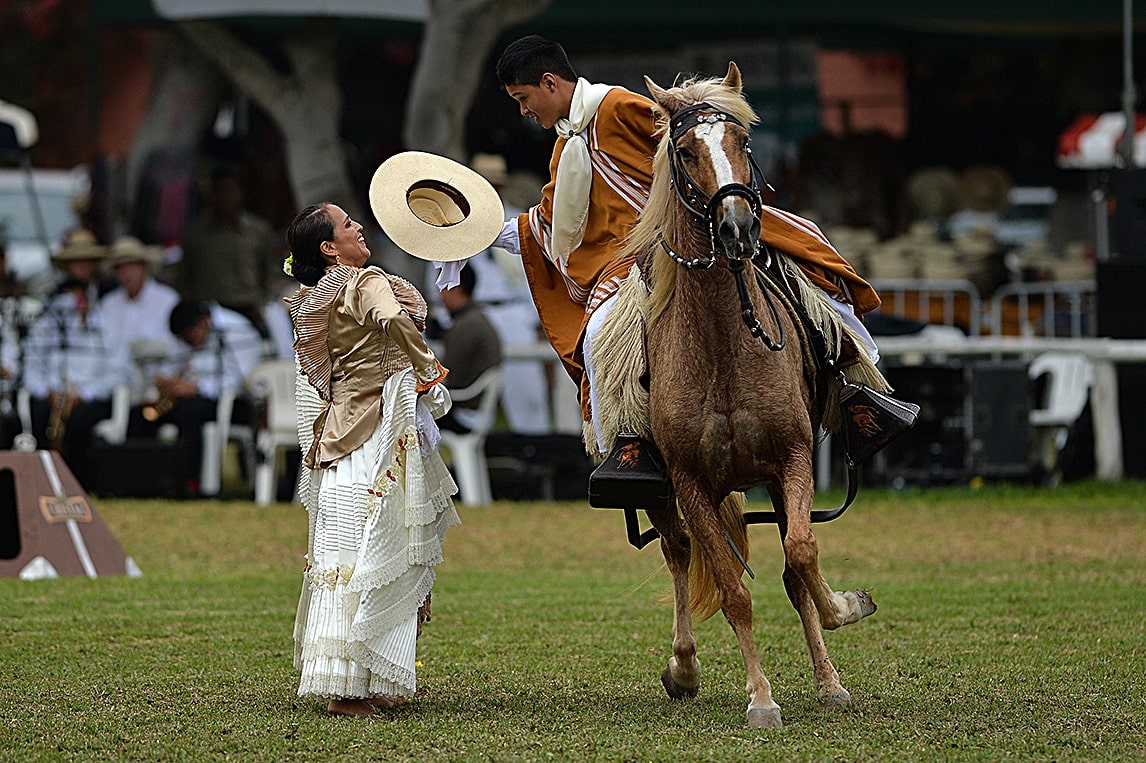 Concurso Nacional de Caballos